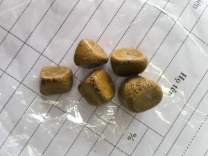 Z2772616127661 2c0babc411ce4a15225a1f63d2b9841f Copy