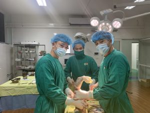 Z2844145794144 28c84283bb5f2a8f21727f22670ab0cc