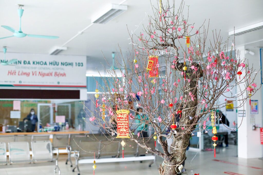 272062706 1170205873511234 7455051456312774431 N