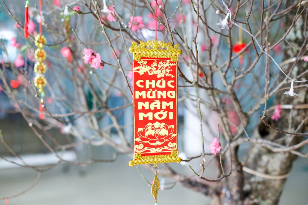 272184661 1170205850177903 6165968785261334116 N