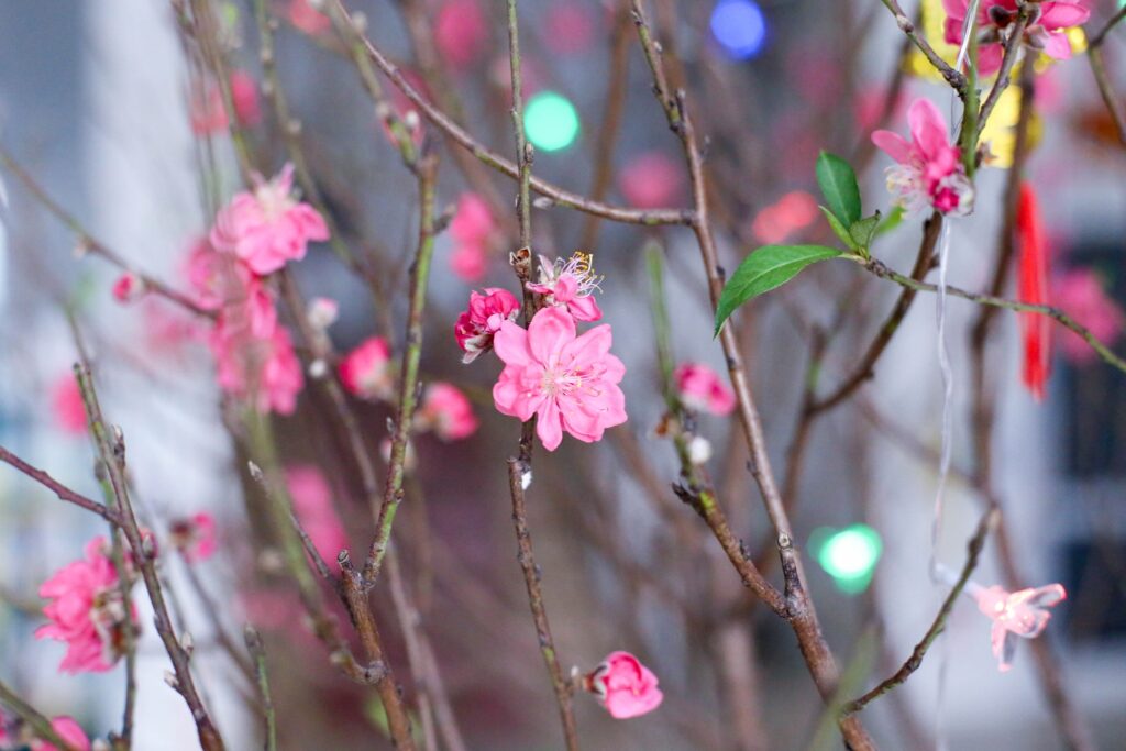 272222416 1170205866844568 7937874476897242242 N