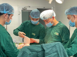 277098734 1212581955940292 7604590466085013609 N