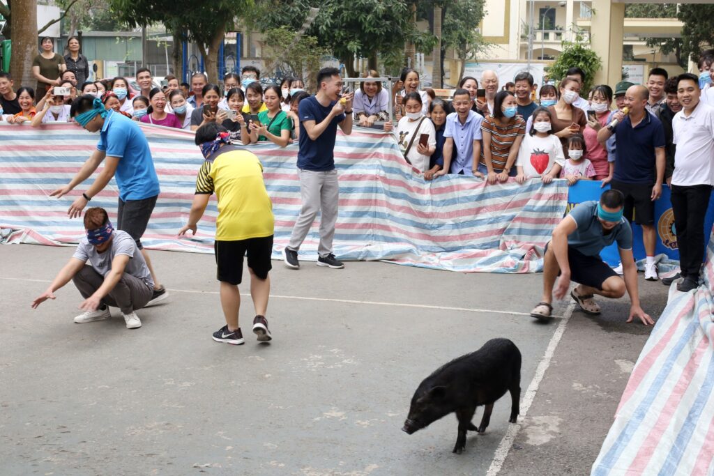 336873254 2122071191516799 1690232289667836376 N